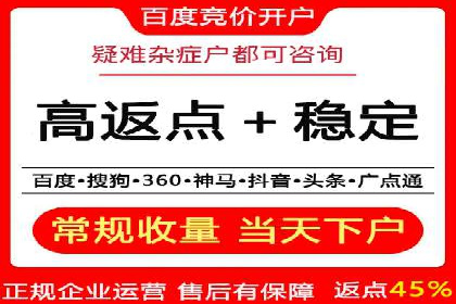 提升网站流量与转化率的关键——关键词竞价排名案例